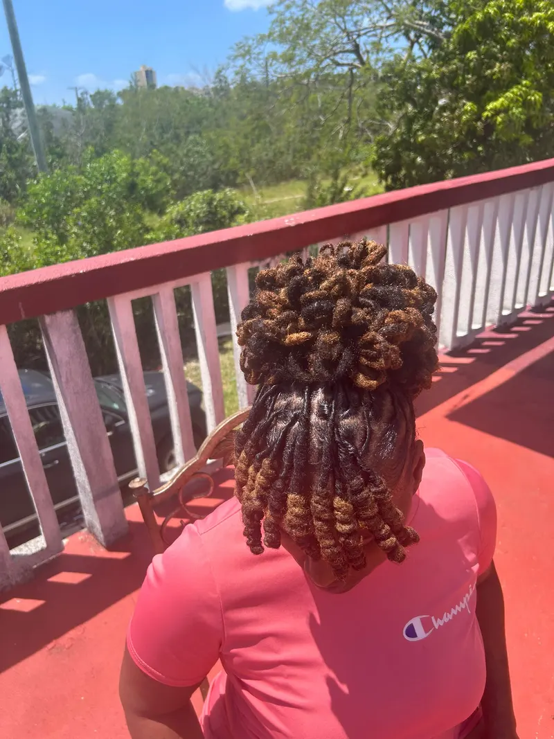 Highlighted locs in a bun with hanging ends